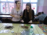 IMG_20181220_095133