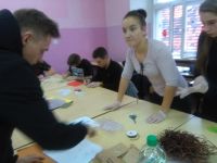 IMG_20181220_095636